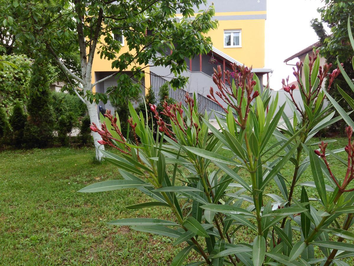 Apartmani Jasmina 2 Bihać Exteriér fotografie