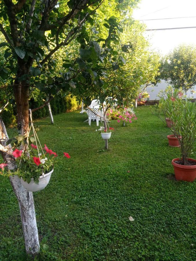 Apartmani Jasmina 2 Bihać Exteriér fotografie